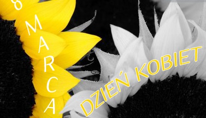 Słoneczniki na dzień kobiet